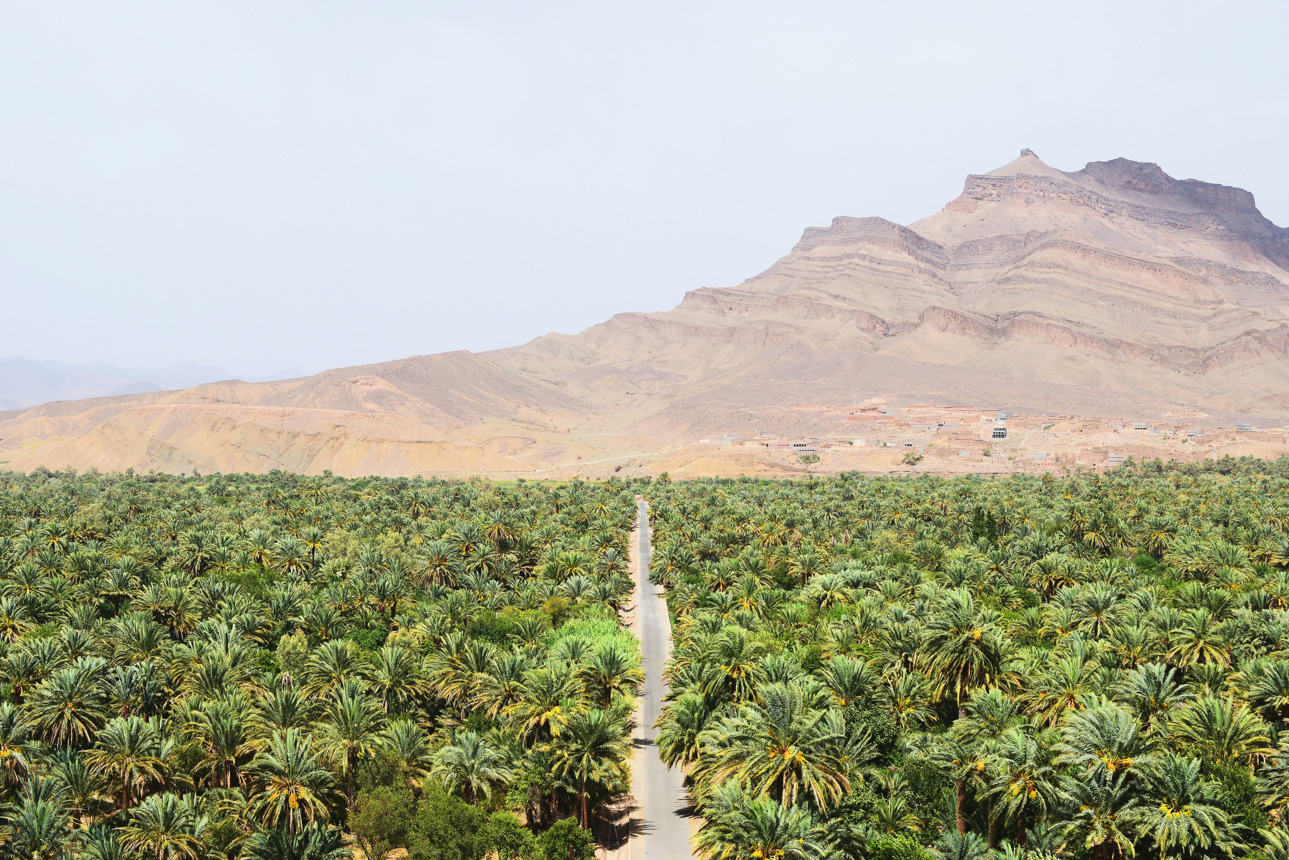 Palmeraie de la Vallée du Draâ avec route et montagnes